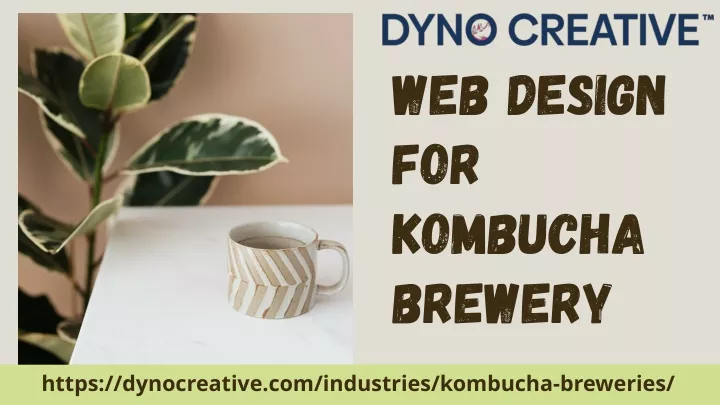 web design for kombucha brewery