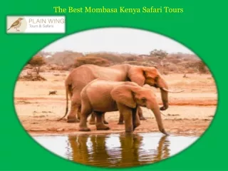 The Best Mombasa Kenya Safari Tours