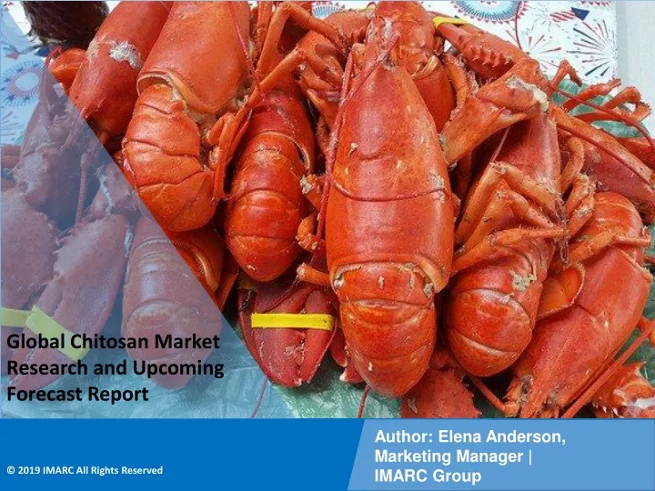 global chitosan market research and upcoming