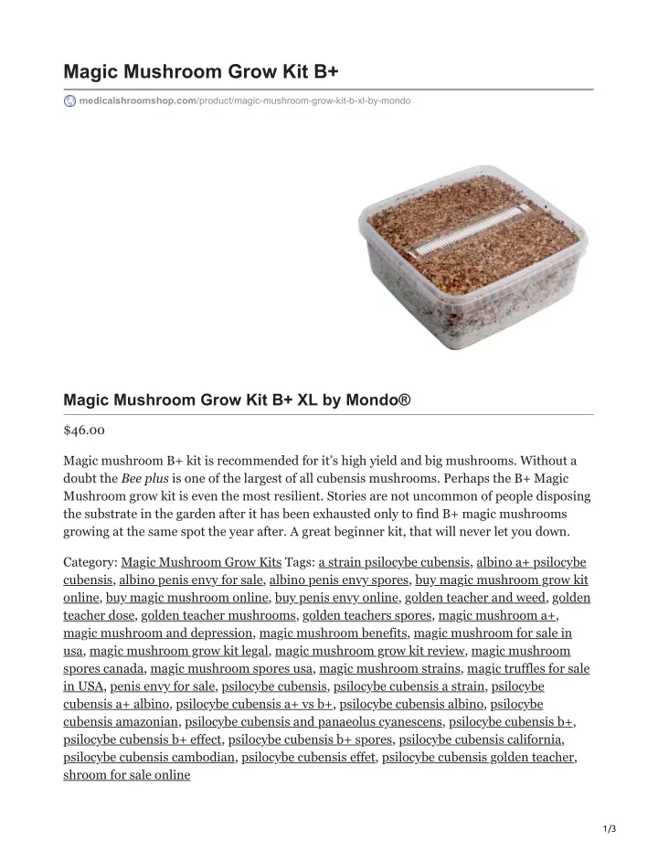 PPT - Magic Mushroom Grow Kit B XL PowerPoint Presentation, Free ...