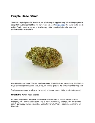 purple haze strain