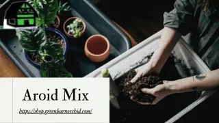 Buy Soil Free Aroid Potting Mix | Green Barn Orchid