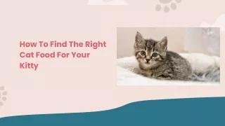 How To Find The Right Cat Food For Your Kitty.pptx