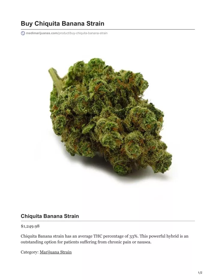 buy chiquita banana strain