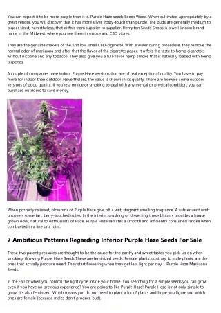 17 Undeniable Causes For Affection Purple Haze Seeds Award Winning Strain