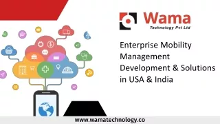 Enterprise Mobility Management Solutions in India and USA