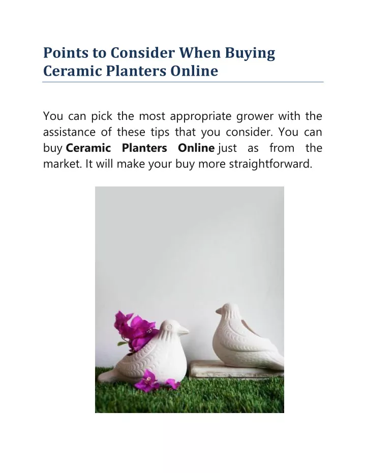 points to consider when buying ceramic planters