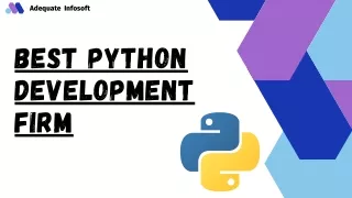 Best python development firm