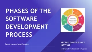 Phases of the Software Development Process - Meerakics