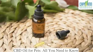 CBD Oil for Pets