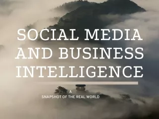 SOCIAL MEDIA AND BUSINESS INTELLIGENCE — A SNAPSHOT OF THE REAL WORLD