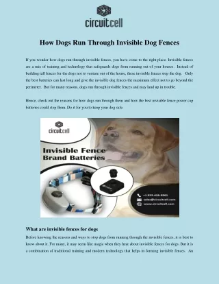 How Dogs Run Through Invisible Dog Fences