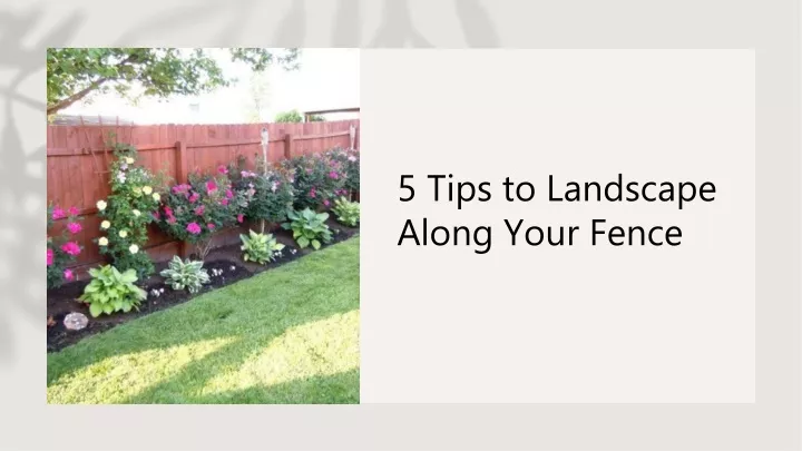 5 tips to landscape along your fence