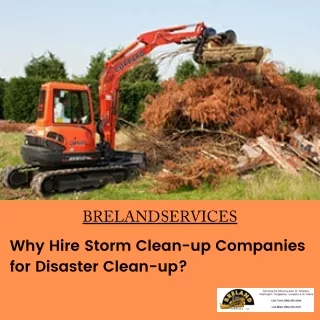Why Hire Storm Clean-up Companies for Disaster Clean-up