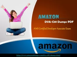 Amazon DVA-C01 Dumps Latest Online Test Engine