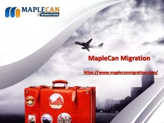 Everything about the South African Immigration_Maple-Can-Migration