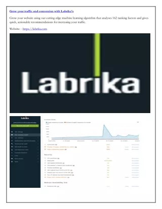 grow your traffic and conversion with labrika s