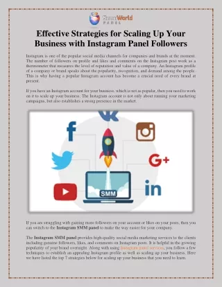 Effective Strategies for Scaling Up Your Business with Instagram Panel Followers