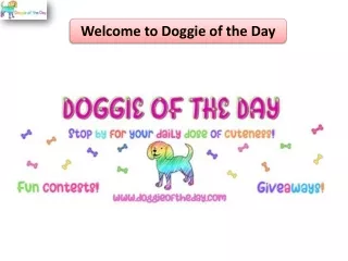 Welcome to Doggie of the Day