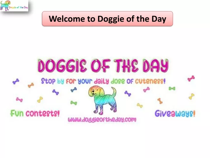 welcome to doggie of the day
