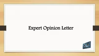 Expert Opinion Letter
