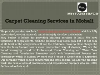 Carpet Cleaning Services in Mohali