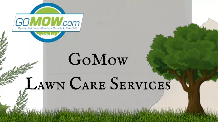 gomow lawn care services