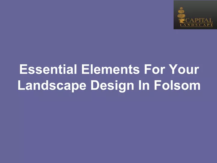 essential elements for your landscape design