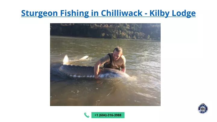 sturgeon fishing in chilliwack kilby lodge