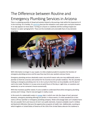 The Difference between Routine and Emergency Plumbing Services in Arizona