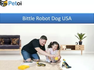 bittle robot dog usa