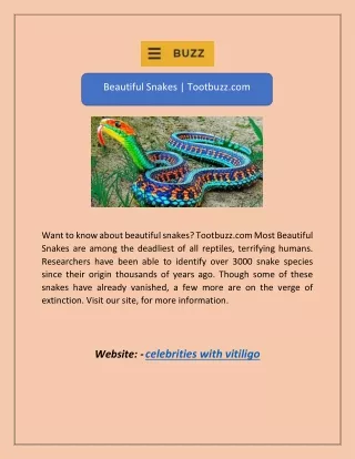 Beautiful Snakes | Tootbuzz.com