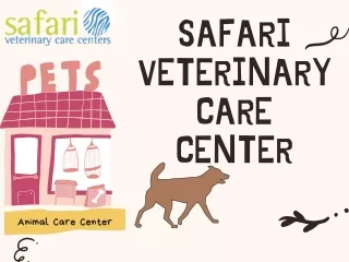 Veterinary Dental Specialist In League City, TX - Safari Vet