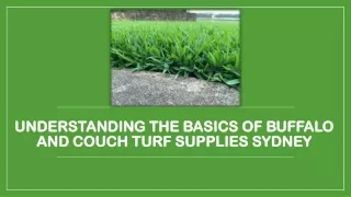 Understanding the Basics of Buffalo and Couch Turf Supplies Sydney