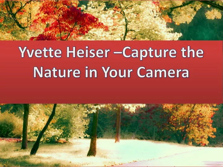 yvette heiser capture the nature in your camera