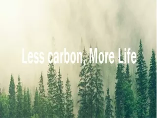 Carbon offset