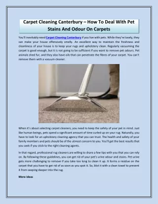 Carpet Cleaning Canterbury How To Deal With Pet Stains And Odour On Carpets
