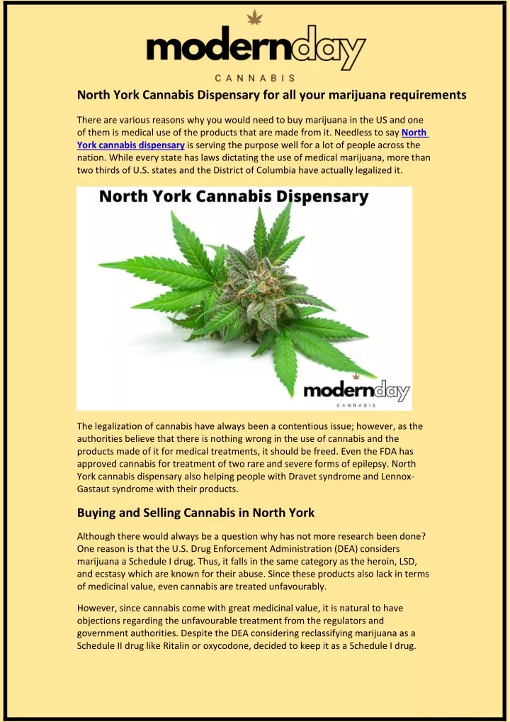 north york cannabis dispensary for all your