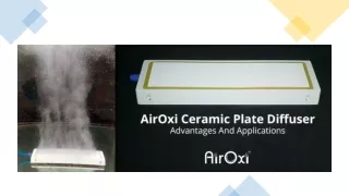 AirOxi Ceramic Plate Diffuser - Advantages And Applications-AirOxi Tube