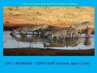 3 Days In Tsavo East And West Safari In Kenya
