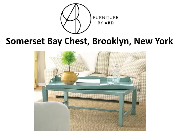 somerset bay chest brooklyn new york