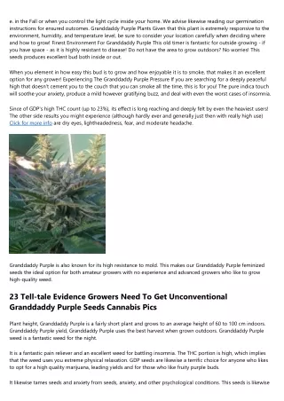 The 17 The Majority Of Misconceived Truths Concerning Granddaddy Purple Seeds Fl