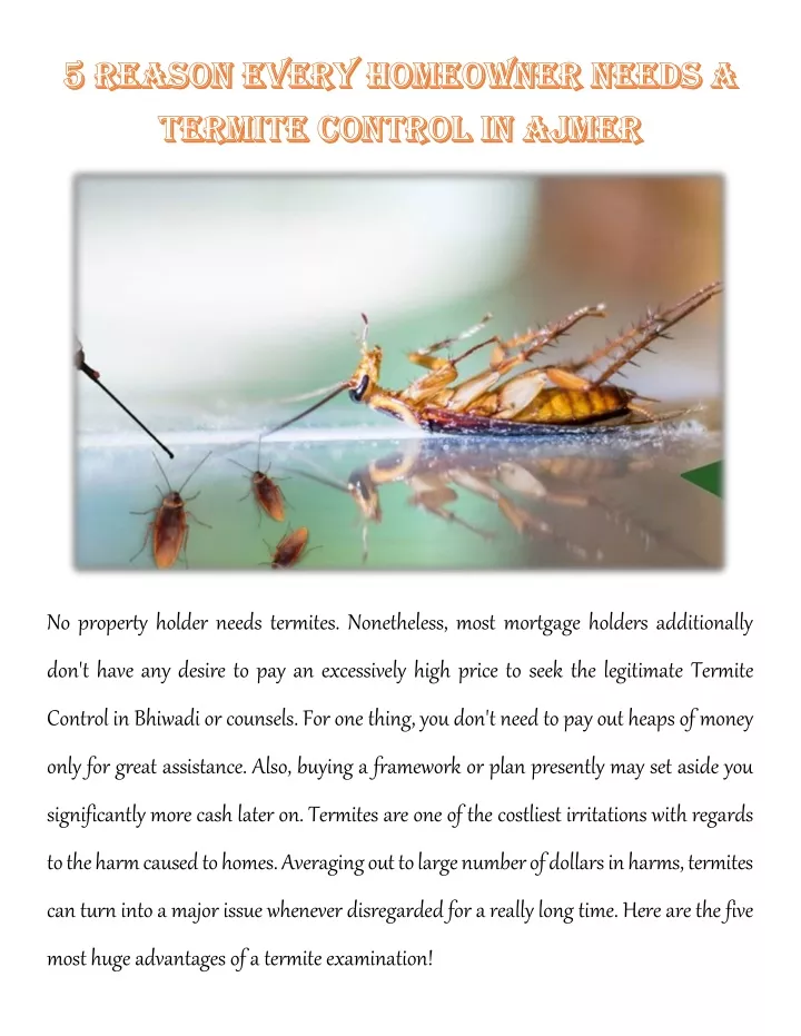 no property holder needs termites nonetheless