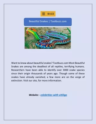 Beautiful Snakes | Tootbuzz.com