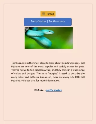 pretty snakes tootbuzz com