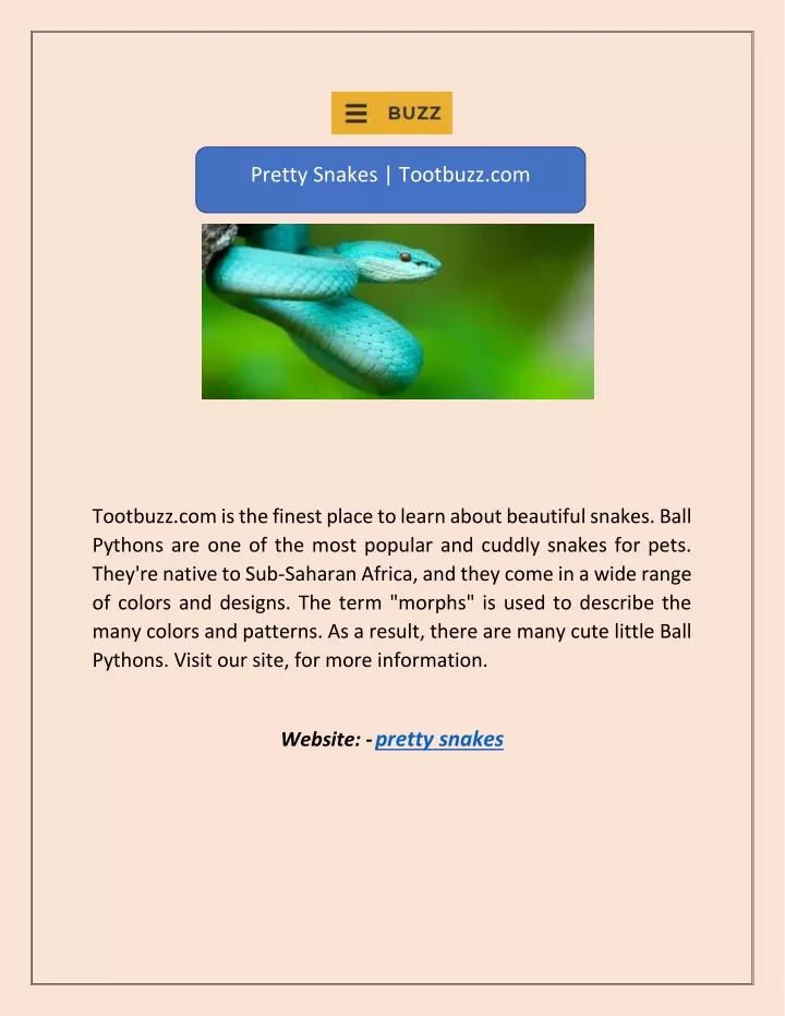 pretty snakes tootbuzz com
