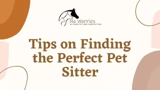 Tips on Finding the Perfect Pet Sitter