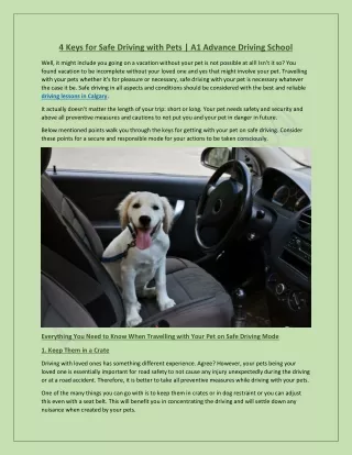 Driving Lessons Calgary | Keys for Safe Driving with Pets