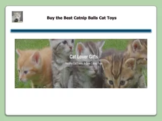 buy the best catnip balls cat toys
