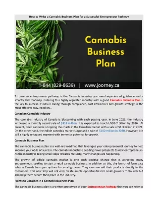 How to Write a Cannabis Business Plan for a Successful Entrepreneur Pathway